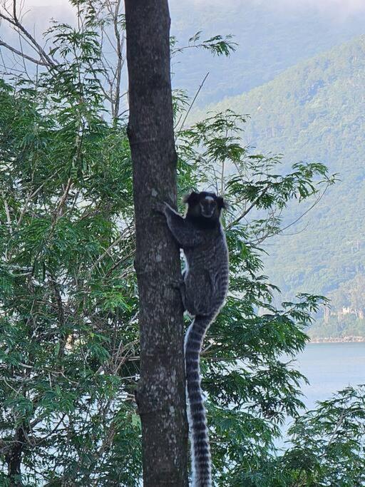 فندق Nosso Mar Florianópolis المظهر الخارجي الصورة