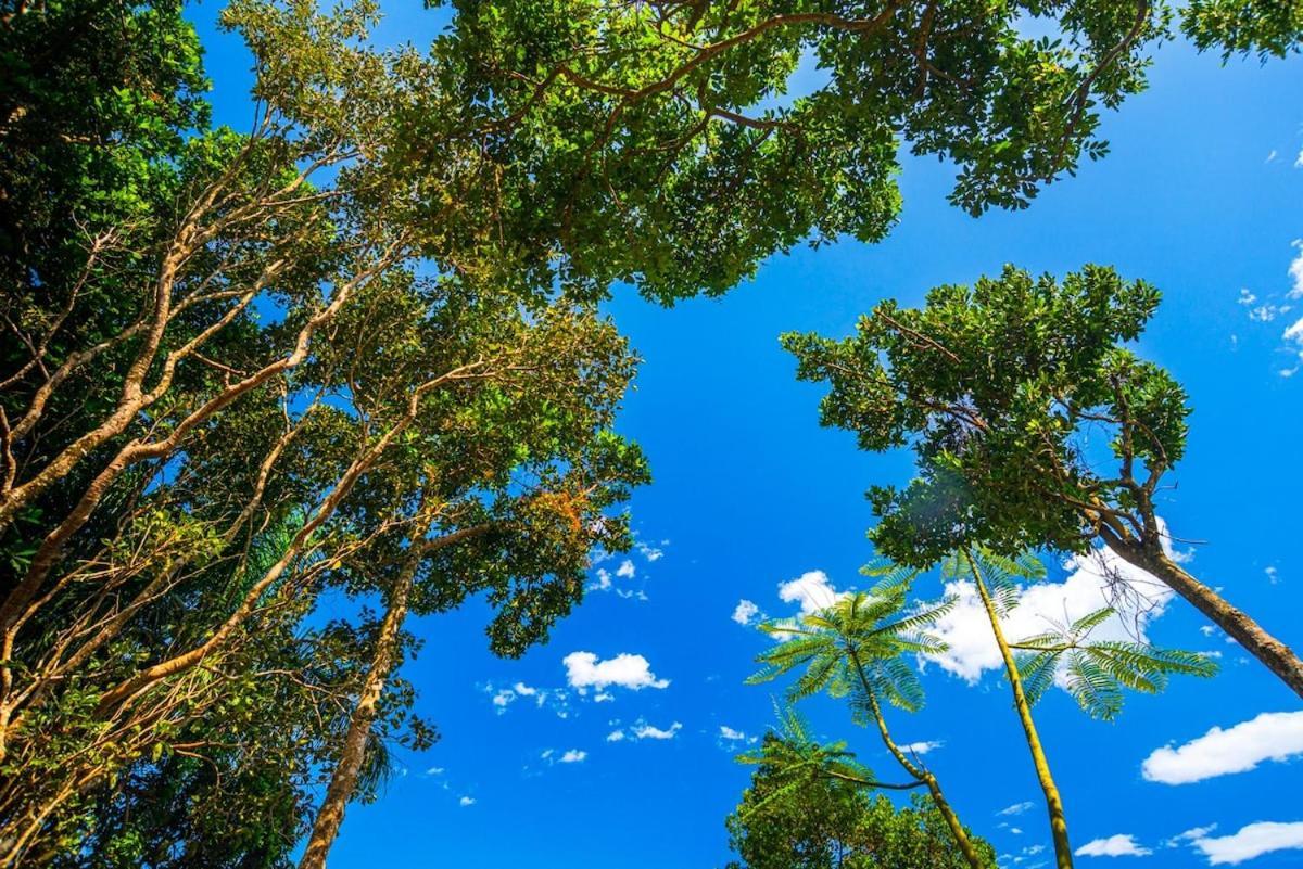 فندق Nosso Mar Florianópolis المظهر الخارجي الصورة